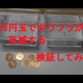 動画で実践！10円玉で蚊よけ