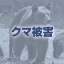 タケノコ採り中にクマと遭遇、ノコギリで追い払うも転倒して骨折…宮城・大崎の７０代女性
