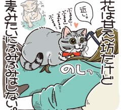 ぐっぱ
