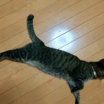 だいじろう日和。