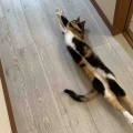 それぞれに、シュワッチ！