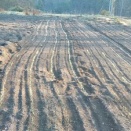 ギリギリのところで頑張る小麦栽培^^;