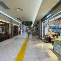 大宮駅構内「エキュート大宮」の「フーズステージ キタノ フォア」にて秋田「佐藤養悦本舗」稲庭中華そば
