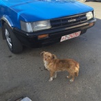 The Higashiyama Journal 東山日誌