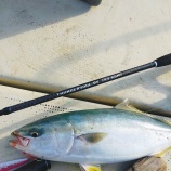 『ライトジギング in 大荒れの有明海』の画像