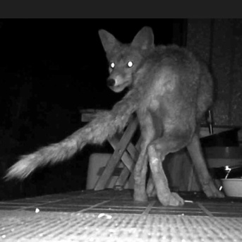 近所の現場　前編