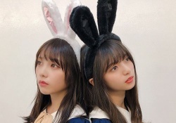 乃木坂46で後輩に慕われてる先輩と言えば？