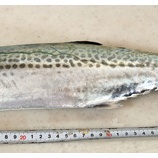 『国東の食環境（100回記念）（1）』の画像