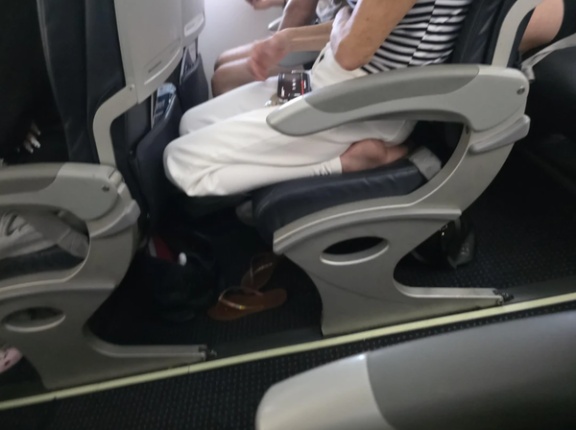 外国人「飛行機の座席で3時間ずっと正座してる人がいたんだけど！」　海外の反応。