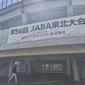 �Х�����ͥåȡ�����������������Ŵ���������