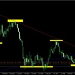 セレさんのトレード日記