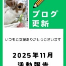 2025年11月の活動報告