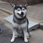 観音裏黄昏備忘録