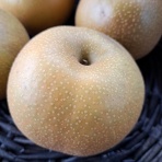 減農薬野菜、果物、お花、こだわりのうつわのお店　- 花うつわ大地（花咲農園） -