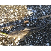 ありがとう鹿島灘2015年水揚げ②