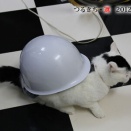 選59／かめきち気分