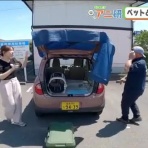 登山ちゃんねる