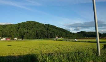 【画像】どうせお前らこんな風景すきなんだろ
