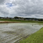 市原市に憲法と地方自治を活かす会