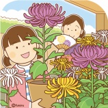 『【クリップアート】菊祭りのイラスト』の画像