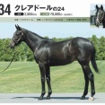 【キャロット】勝手に募集馬見解 その56 クレアドールの24