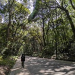 かもしてパッパラなーるなる