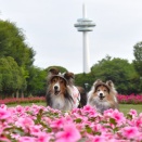 航空公園早朝散歩