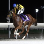 がんばれ！ホッカイドウ競馬　.blog