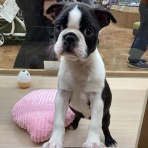 ワンラブ　カインズ広島LECT店のブログ