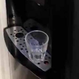 猫の動画 ねこわん！