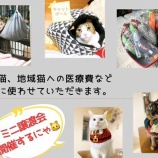 『12/22(日)に猫のチャリティーバザー＆ミニ譲渡会が開催。喫茶マイケルンにて（春日井市柏井町）』の画像