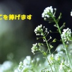 田舎記者の手帳