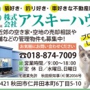 午後から崩れるようだけど　今朝の空色は良い( ◠‿◠ )  　気温も19度まで上がるらしい