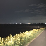 『3月21日(祝火)本日のグラウンド利用について』の画像