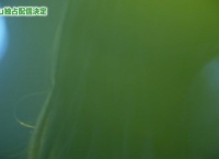 【AKB48】マジすか学園5の最新予告映像公開！