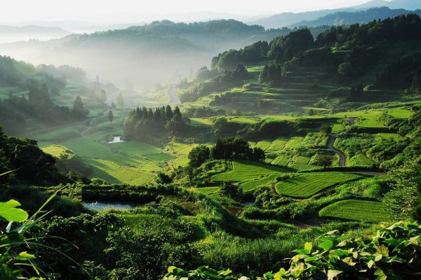 日本の原風景 12夏景色