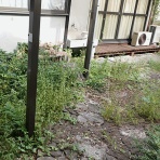 ラッキーの日記と、パパのカメブラ散歩