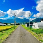 バイク速報