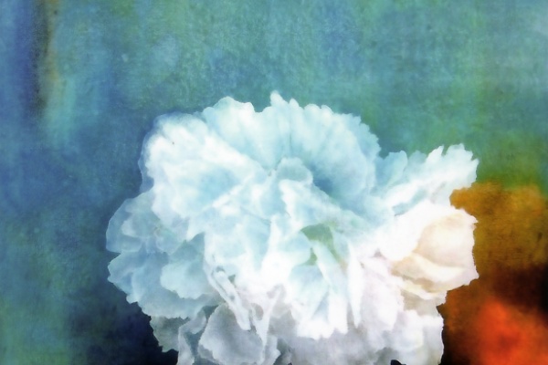 Yasuko Okumura Art's Galary - 個展