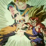 ドラゴンボールの世界の技が1個だけ覚えられるとしたら何にする？