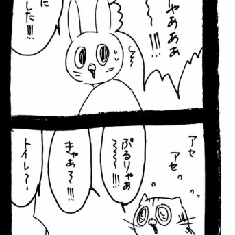 不調教えてくれる猫