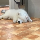 おねむな天使達♡