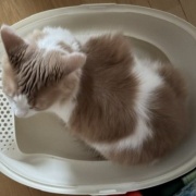 衣替えをして古着を売りに行こうと思ったら・・・