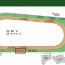 【金鯱賞】位置取りゲーム