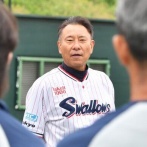ヤクルト池山監督、割とヤバそう