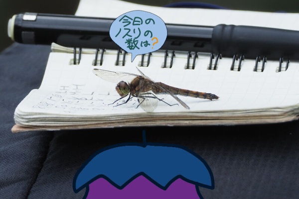 富士鷹なすびのブログ