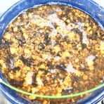 てきとう自然観察記録