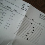 ～しろいぬテリア・ウエスティの蘭丸日記～