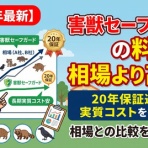 未来デザイン