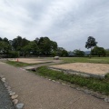 朝からお散歩